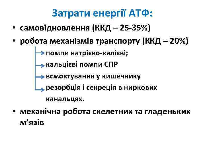 Затрати енергії АТФ: • самовідновлення (ККД – 25 -35%) • робота механізмів транспорту (ККД