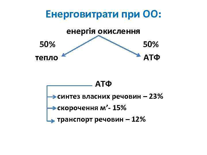 Енерговитрати при ОО: енергія окислення 50% тепло 50% АТФ синтез власних речовин – 23%