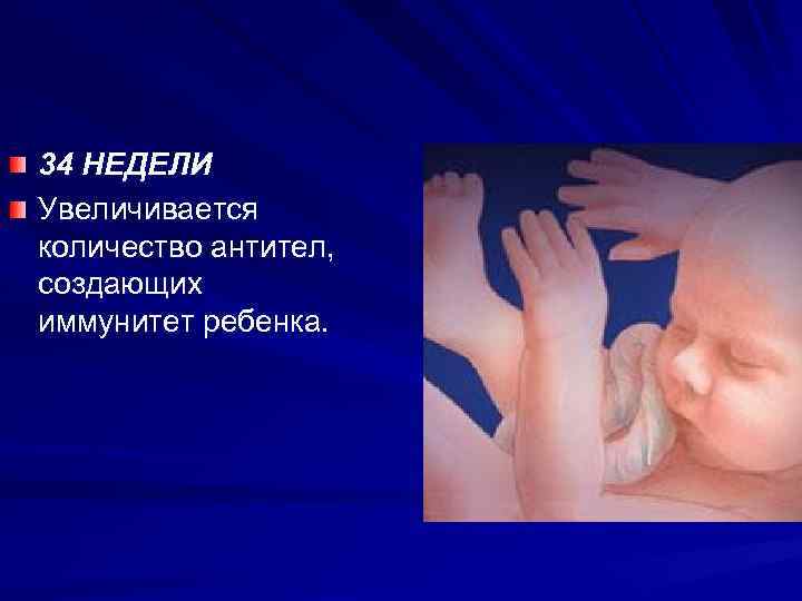 34 НЕДЕЛИ Увеличивается количество антител, создающих иммунитет ребенка. 