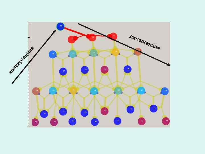 я нц и ер ге нв ко див ерг енц ия 