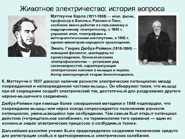 Животное электричество: история вопроса Маттеуччи Карло (1811 -1868) — итал. физик, профессор в Болонье,