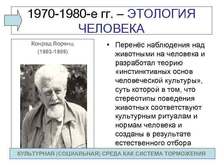 1970 1980 е гг. – ЭТОЛОГИЯ ЧЕЛОВЕКА Конрад Лоренц (1903 -1989) • Перенёс наблюдения
