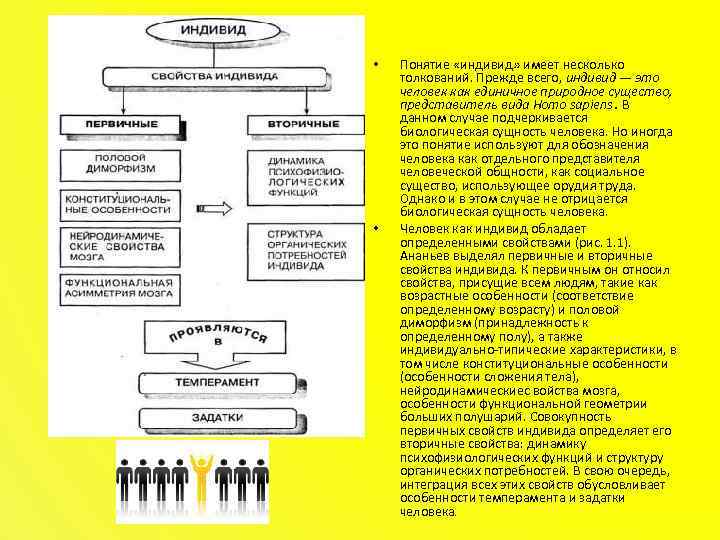  • • Понятие «индивид» имеет несколько толкований. Прежде всего, индивид — это человек