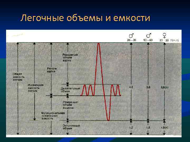 Схема легочных объемов