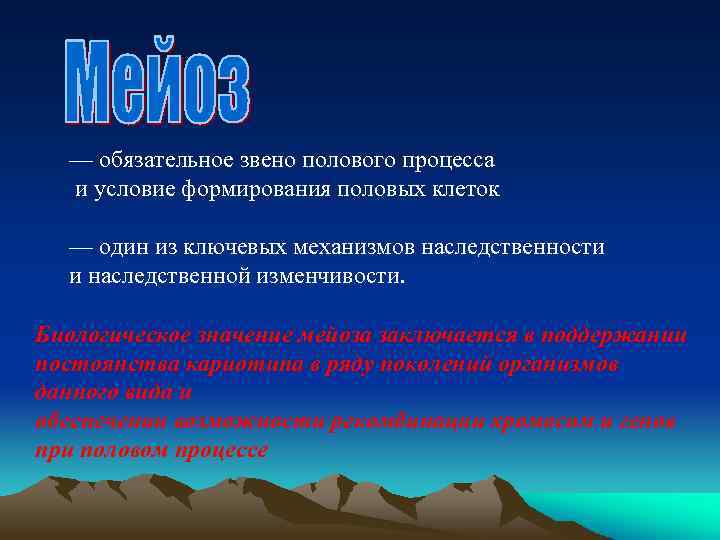 — обязательное звено полового процесса и условие формирования половых клеток — один из ключевых