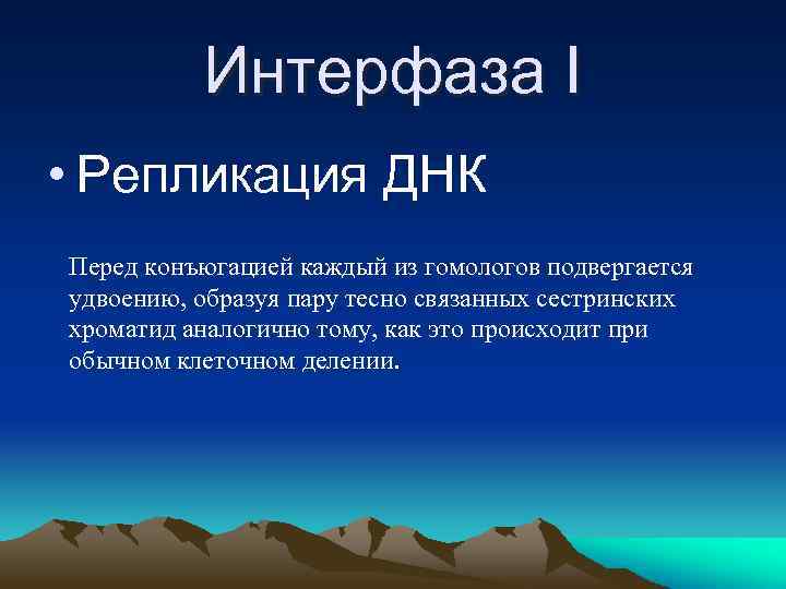 Интерфаза I • Репликация ДНК Перед конъюгацией каждый из гомологов подвергается удвоению, образуя пару