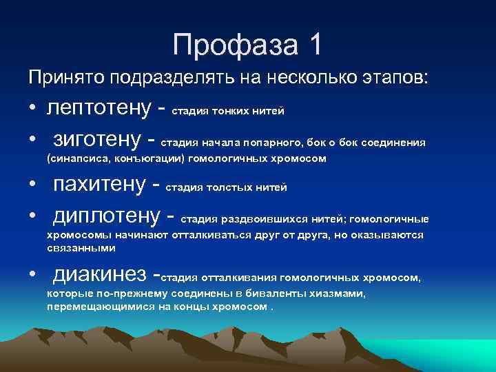 Профаза 1 Принято подразделять на несколько этапов: • лептотену - стадия тонких нитей •