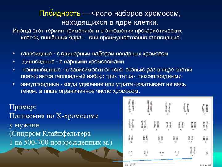 Пло идность — число наборов хромосом, находящихся в ядре клетки. Иногда этот термин применяют