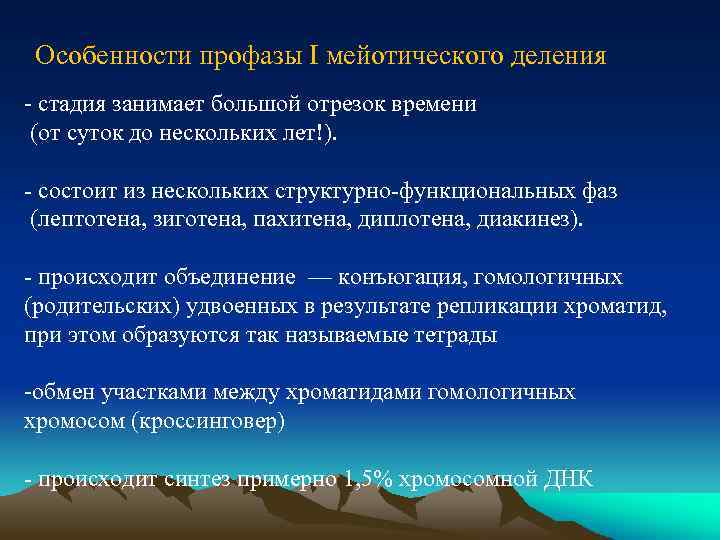 Особенности профазы I мейотического деления - стадия занимает большой отрезок времени (от суток до