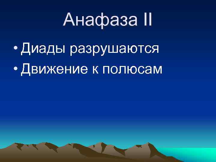 Анафаза II • Диады разрушаются • Движение к полюсам 