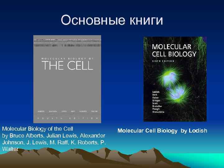 Основные книги Molecular Biology of the Cell by Bruce Alberts, Julian Lewis, Alexander Johnson,