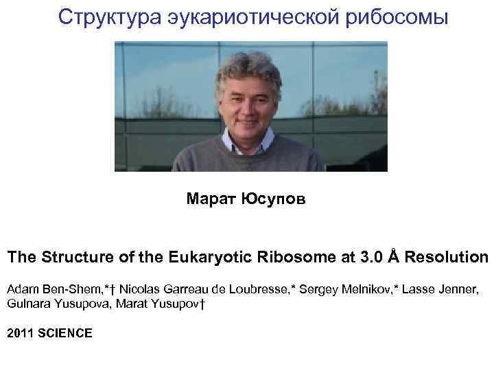 Структура эукариотической рибосомы Марат Юсупов The Structure of the Eukaryotic Ribosome at 3. 0