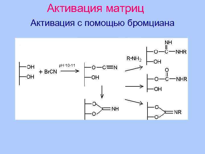 Активация матриц Активация с помощью бромциана р. Н 10 -11 