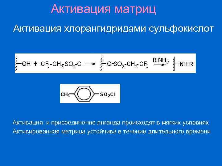 Активация матриц Активация хлорангидридами сульфокислот Активация и присоединение лиганда происходят в мягких условиях Активированная