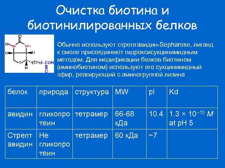 Очистка биотина и биотинилированных белков Обычно используют стрептавидин-Sepharose, лиганд к смоле присоединяют гидроксисукцинимидным методом.