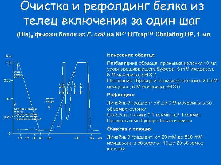 Очистка и рефолдинг белка из телец включения за один шаг (His)6 фьюжн белок из