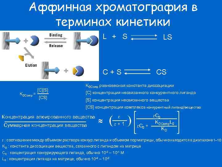 Аффинная хроматография в терминах кинетики L + S LS C+S KDComp = [C][S] [CS]