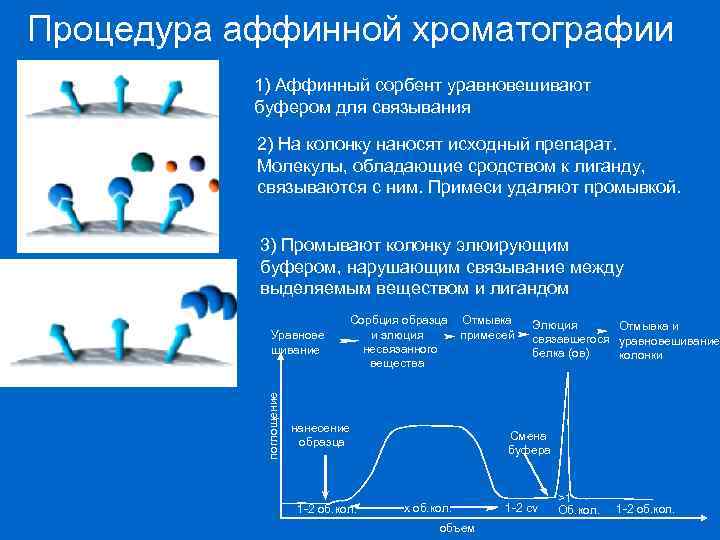 Процедура аффинной хроматографии 1) Аффинный сорбент уравновешивают буфером для связывания 2) На колонку наносят