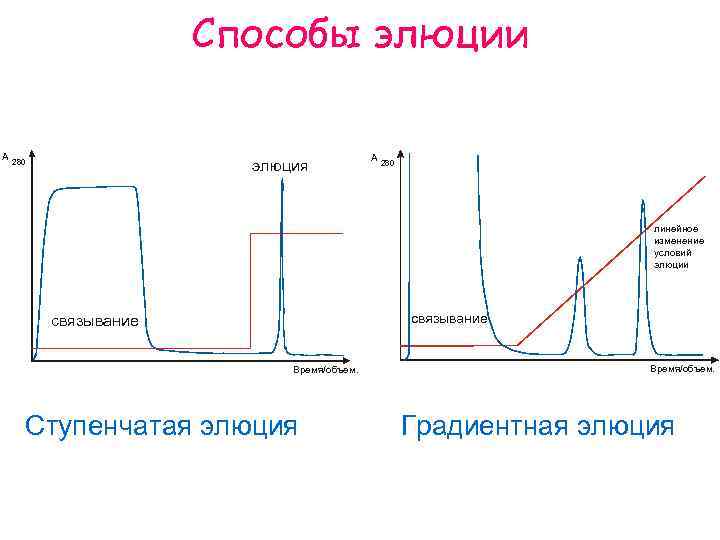 Способы элюции A элюция 280 A 280 линейное изменение условий элюции связывание Время/объем. Ступенчатая