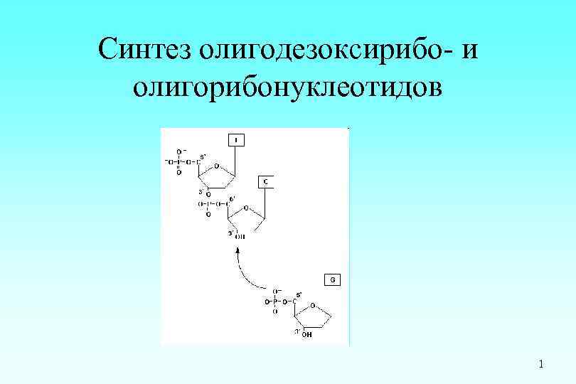 Синтез олигодезоксирибо- и олигорибонуклеотидов 1 