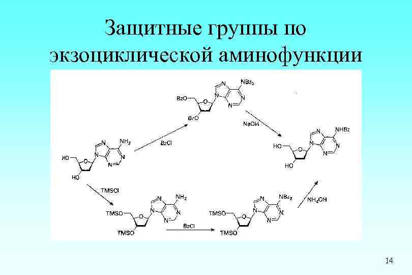 Защитные группы по экзоциклической аминофункции 14 