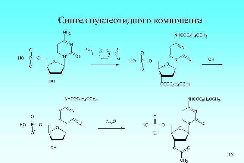 Синтез нуклеотидного компонента 16 