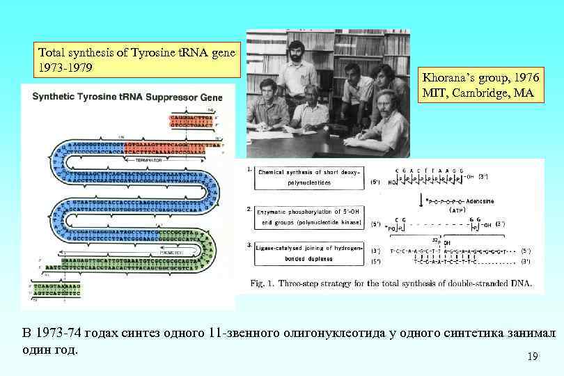 Total synthesis of Tyrosine t. RNA gene 1973 -1979 Khorana’s group, 1976 MIT, Cambridge,