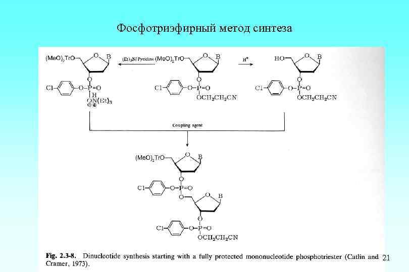 Фосфотриэфирный метод синтеза 21 