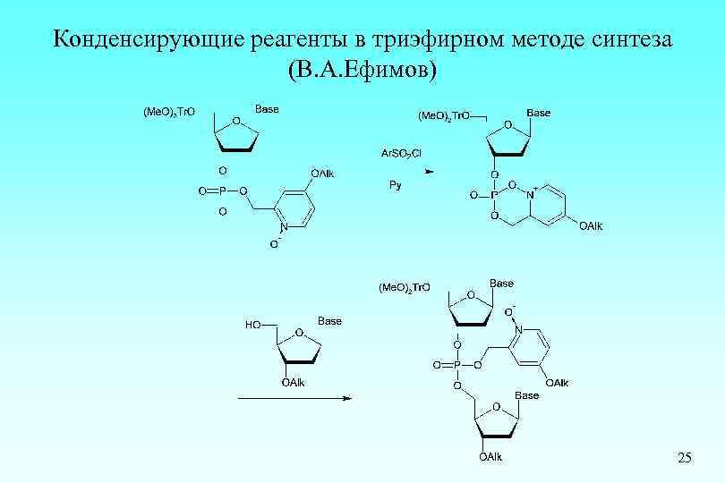 Конденсирующие реагенты в триэфирном методе синтеза (В. А. Ефимов) 25 