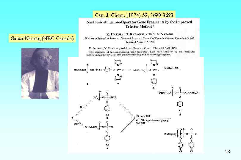 Can. J. Chem. (1974) 52, 3690 -3693 Saran Narang (NRC Canada) 28 