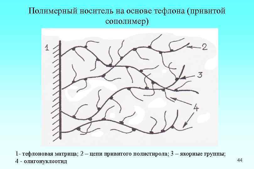 Полимерный носитель на основе тефлона (привитой сополимер) 1 - тефлоновая матрица; 2 – цепи