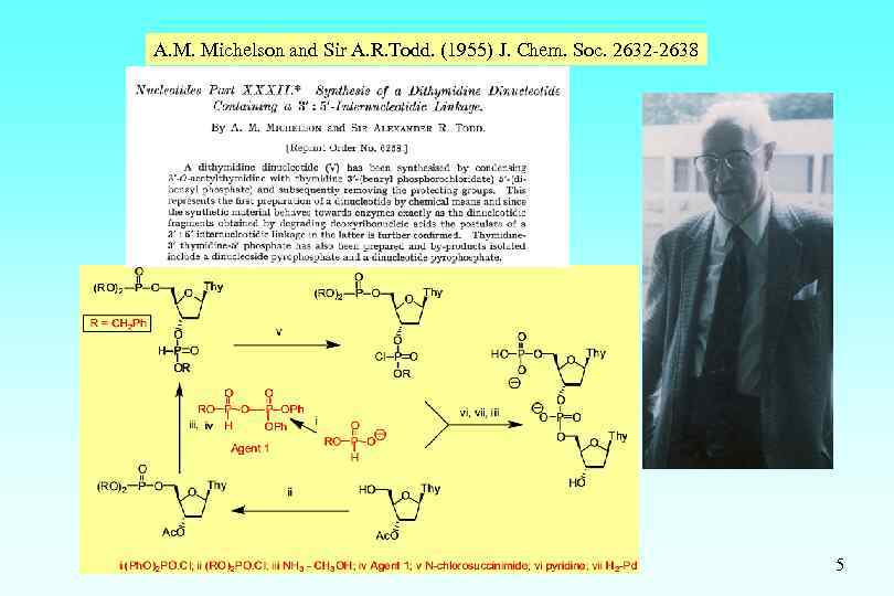 A. M. Michelson and Sir A. R. Todd. (1955) J. Chem. Soc. 2632 -2638