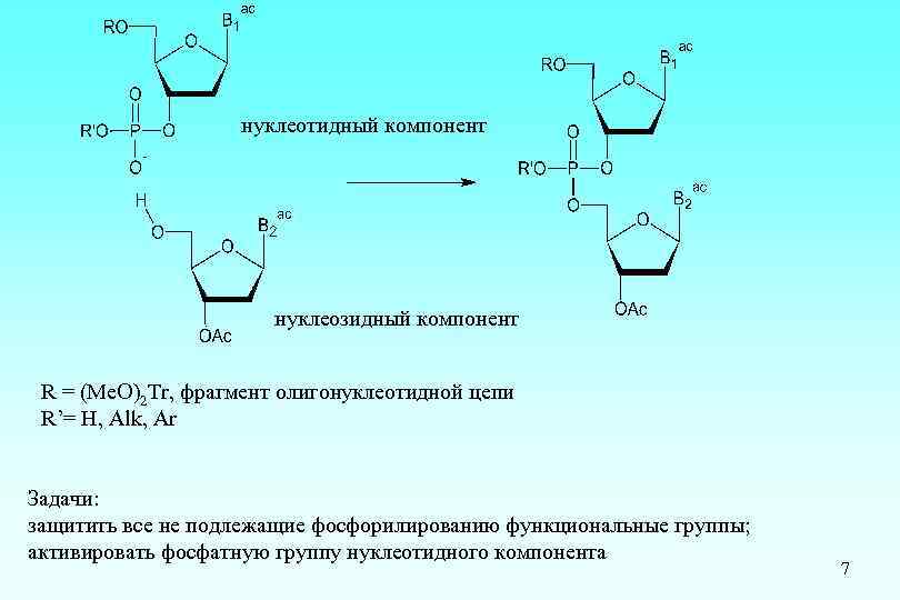 нуклеотидный компонент нуклеозидный компонент R = (Me. O)2 Tr, фрагмент олигонуклеотидной цепи R’= H,