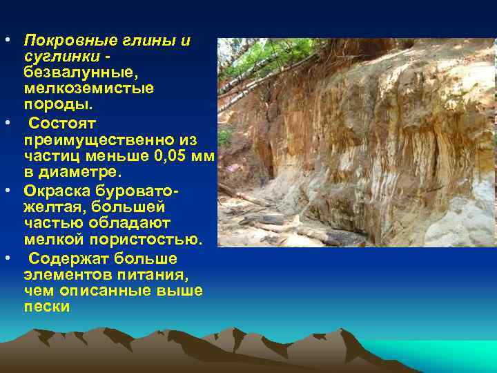  • Покровные глины и суглинки безвалунные, мелкоземистые породы. • Состоят преимущественно из частиц