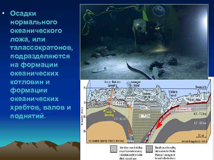  • Осадки нормального океанического ложа, или талассократонов, подразделяются на формации океанических котловин и