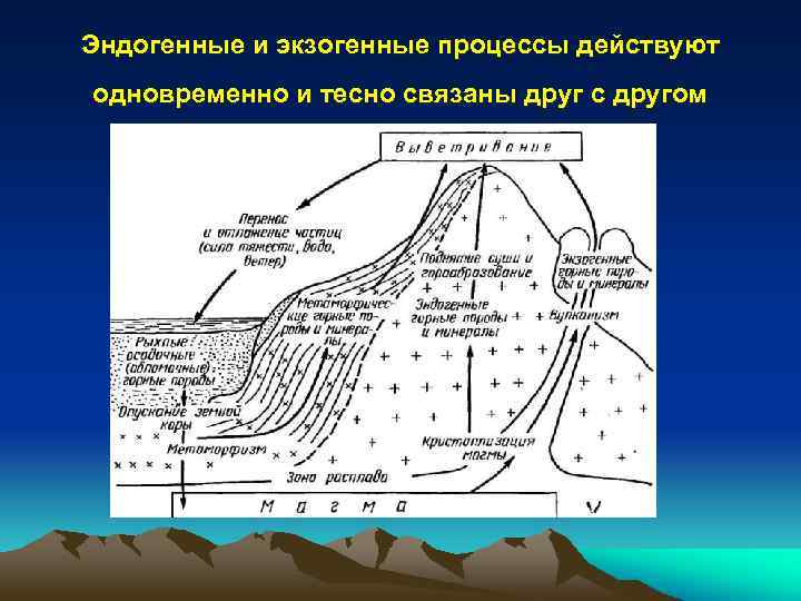 Эндогенные и экзогенные процессы действуют одновременно и тесно связаны друг с другом 