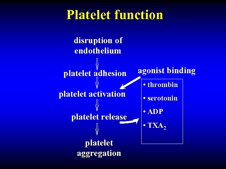 Platelet function disruption of endothelium platelet adhesion agonist binding • thrombin platelet activation platelet