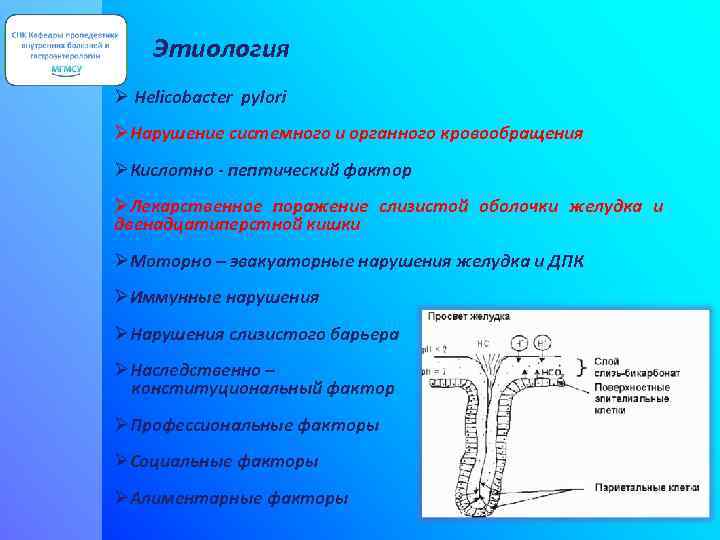 Этиология Ø Helicobacter pylori ØНарушение системного и органного кровообращения ØКислотно - пептический фактор ØЛекарственное