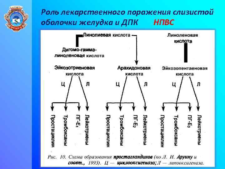 Роль лекарственного поражения слизистой оболочки желудка и ДПК НПВС 