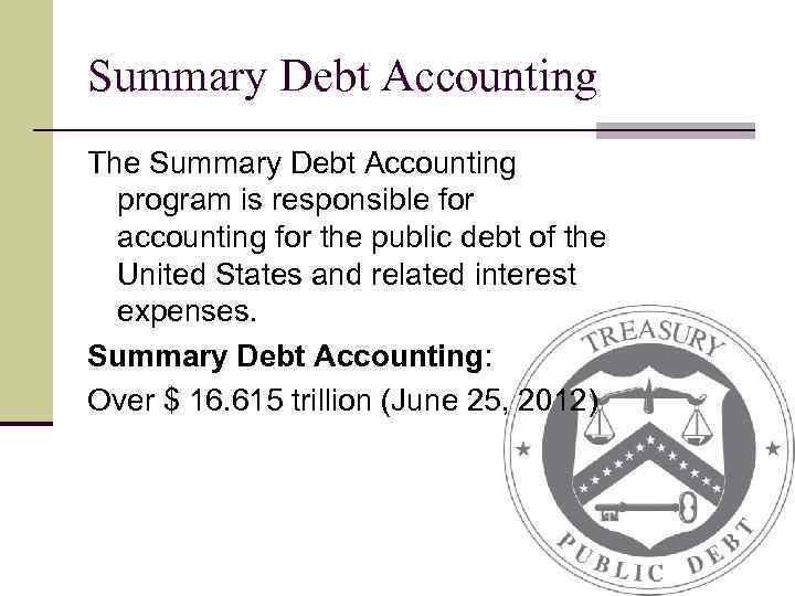 Summary Debt Accounting The Summary Debt Accounting program is responsible for accounting for the