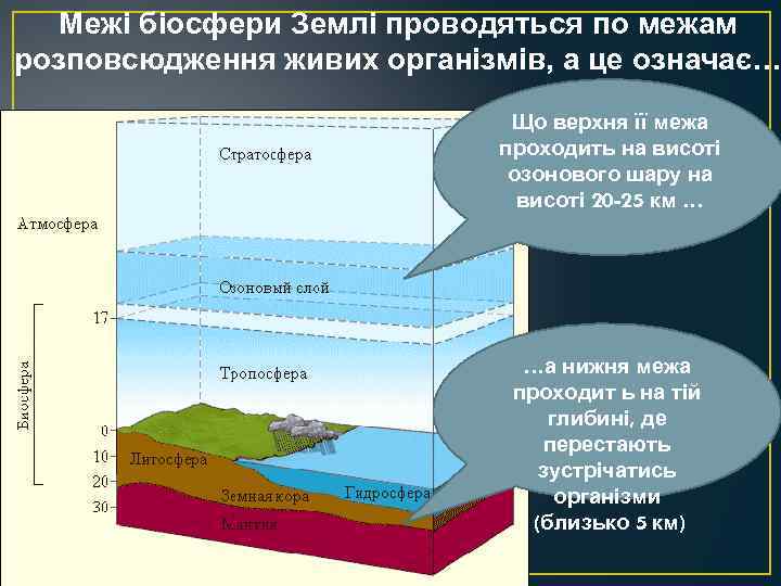 Межі біосфери Землі проводяться по межам розповсюдження живих організмів, а це означає… Що верхня