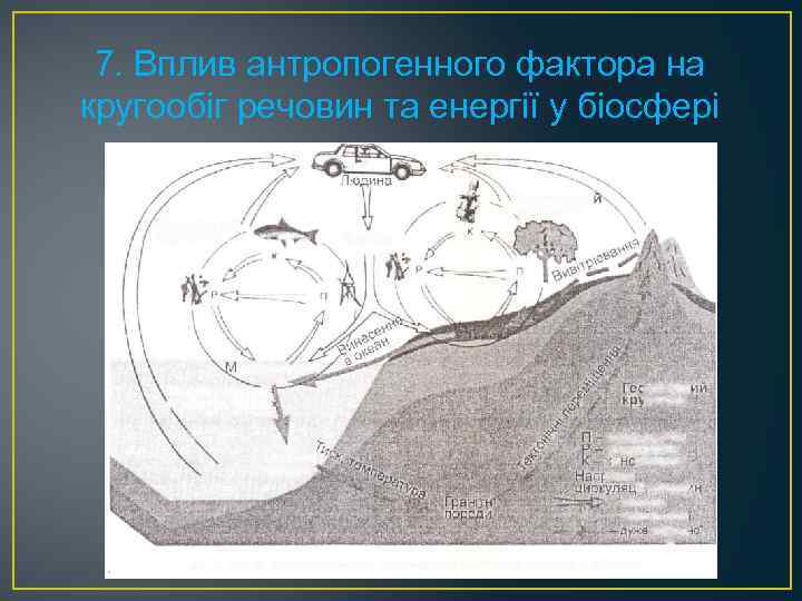 7. Вплив антропогенного фактора на кругообіг речовин та енергії у біосфері 