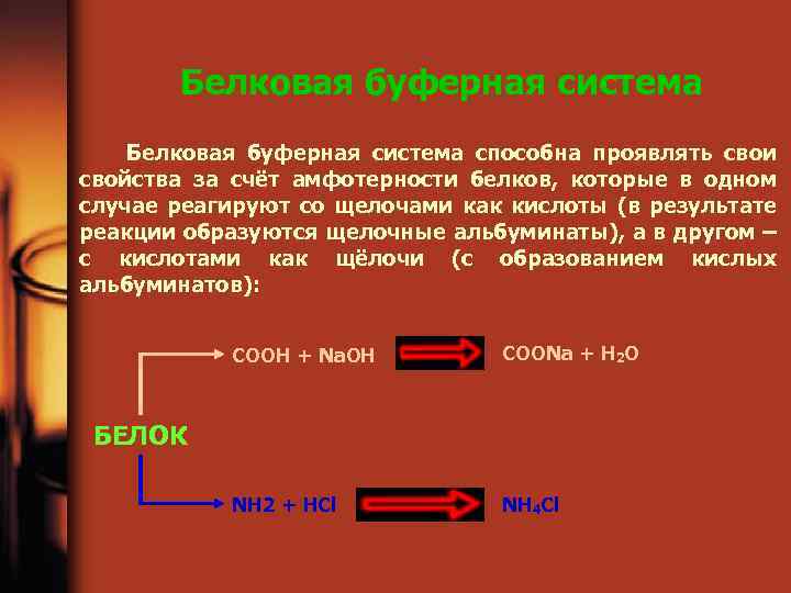 Белковая буферная система способна проявлять свои свойства за счёт амфотерности белков, которые в одном