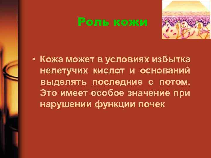 Роль кожи • Кожа может в условиях избытка нелетучих кислот и оснований выделять последние