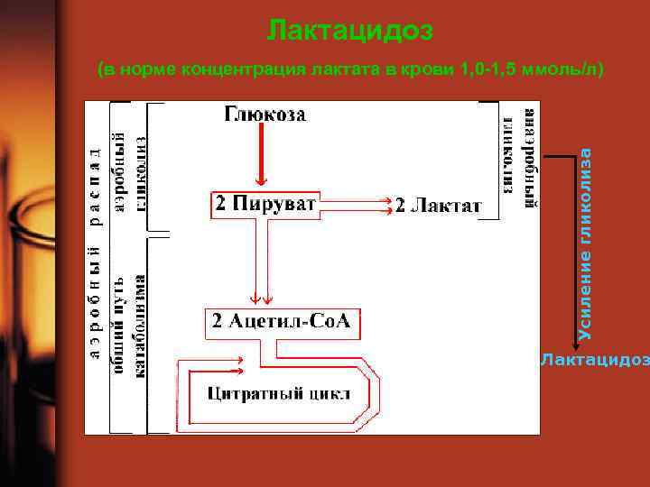 Лактацидоз Усиление гликолиза (в норме концентрация лактата в крови 1, 0 -1, 5 ммоль/л)