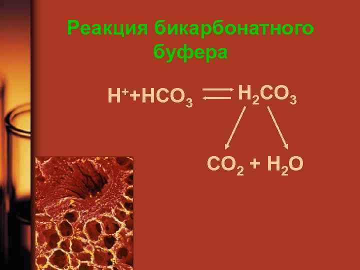 Реакция бикарбонатного буфера Н++НСО 3 H 2 CO 3 CO 2 + H 2