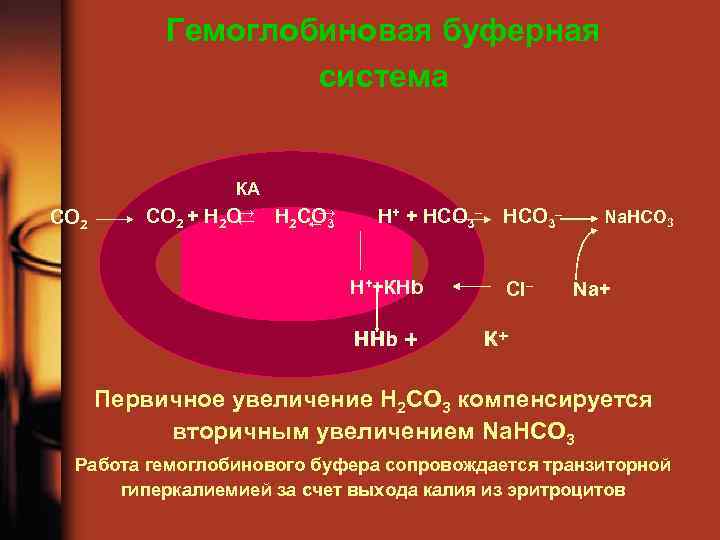 Гемоглобиновая буферная система СО 2 КА → Н СО → СО 2 + Н