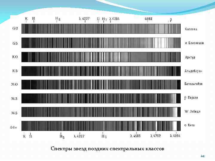 Спектры звезд поздних спектральных классов 24 
