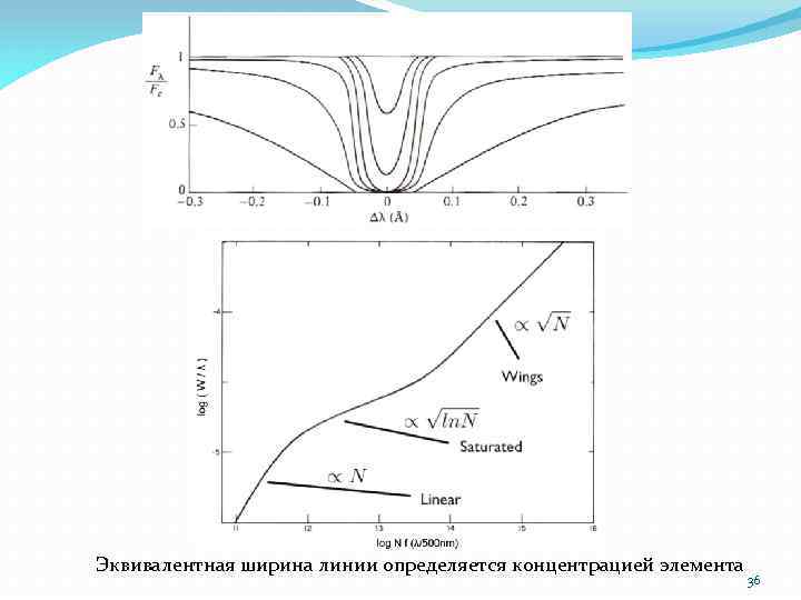Эквивалентная ширина линии определяется концентрацией элемента 36 