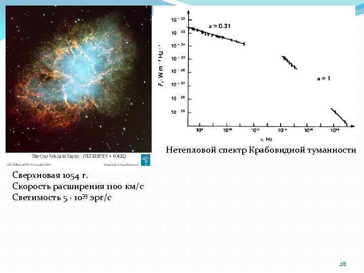 Нетепловой спектр Крабовидной туманности Сверхновая 1054 г. Скорость расширения 1100 км/с Светимость 5 ·